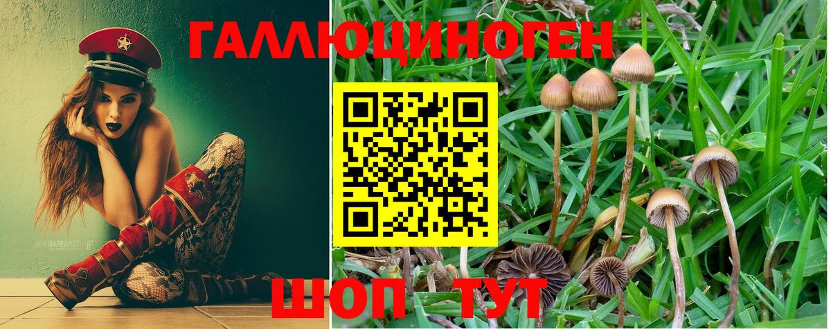 Псилоцибиновые грибы Psilocybine cubensis Воткинск